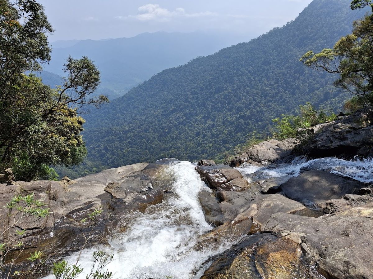 Bạch Mã National Park photo 2