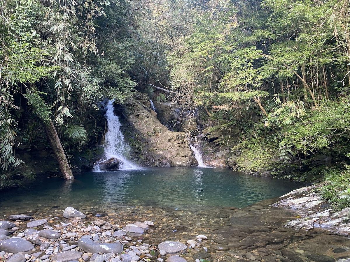 Bạch Mã National Park photo 3
