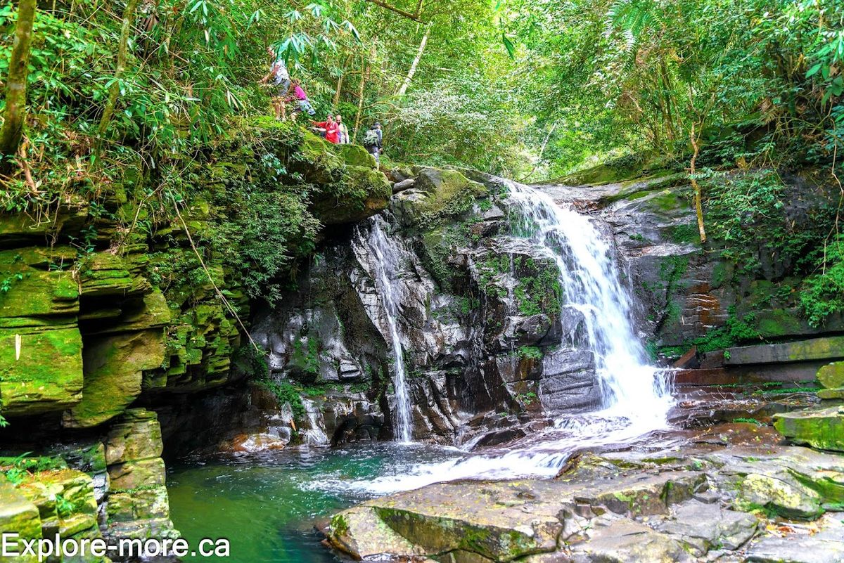 Bạch Mã National Park, Da Nang