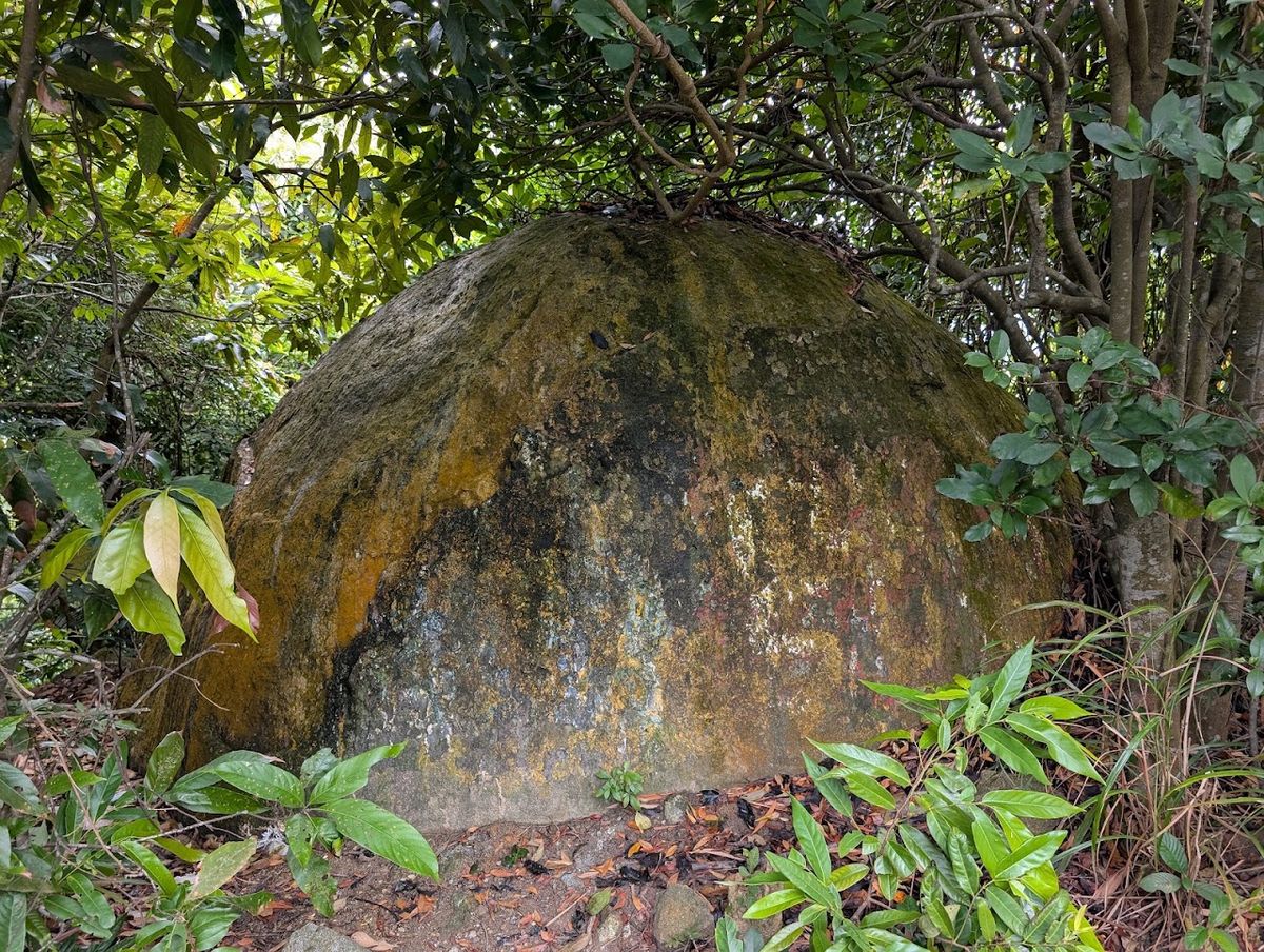 Boom-Boom Rock, Da Nang