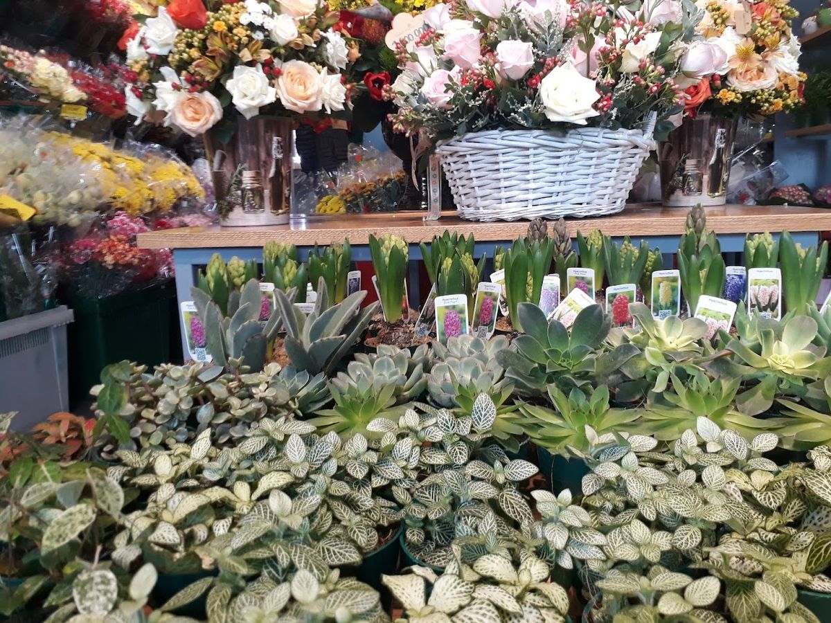 Dalat Hasfarm photo 4