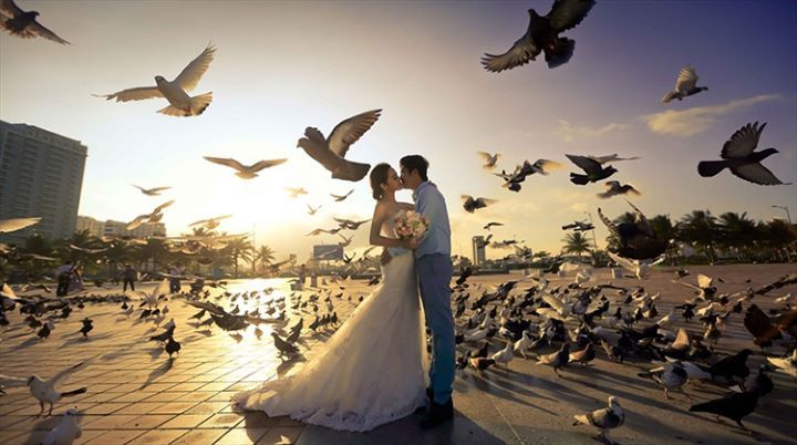 East Sea Park photo 2