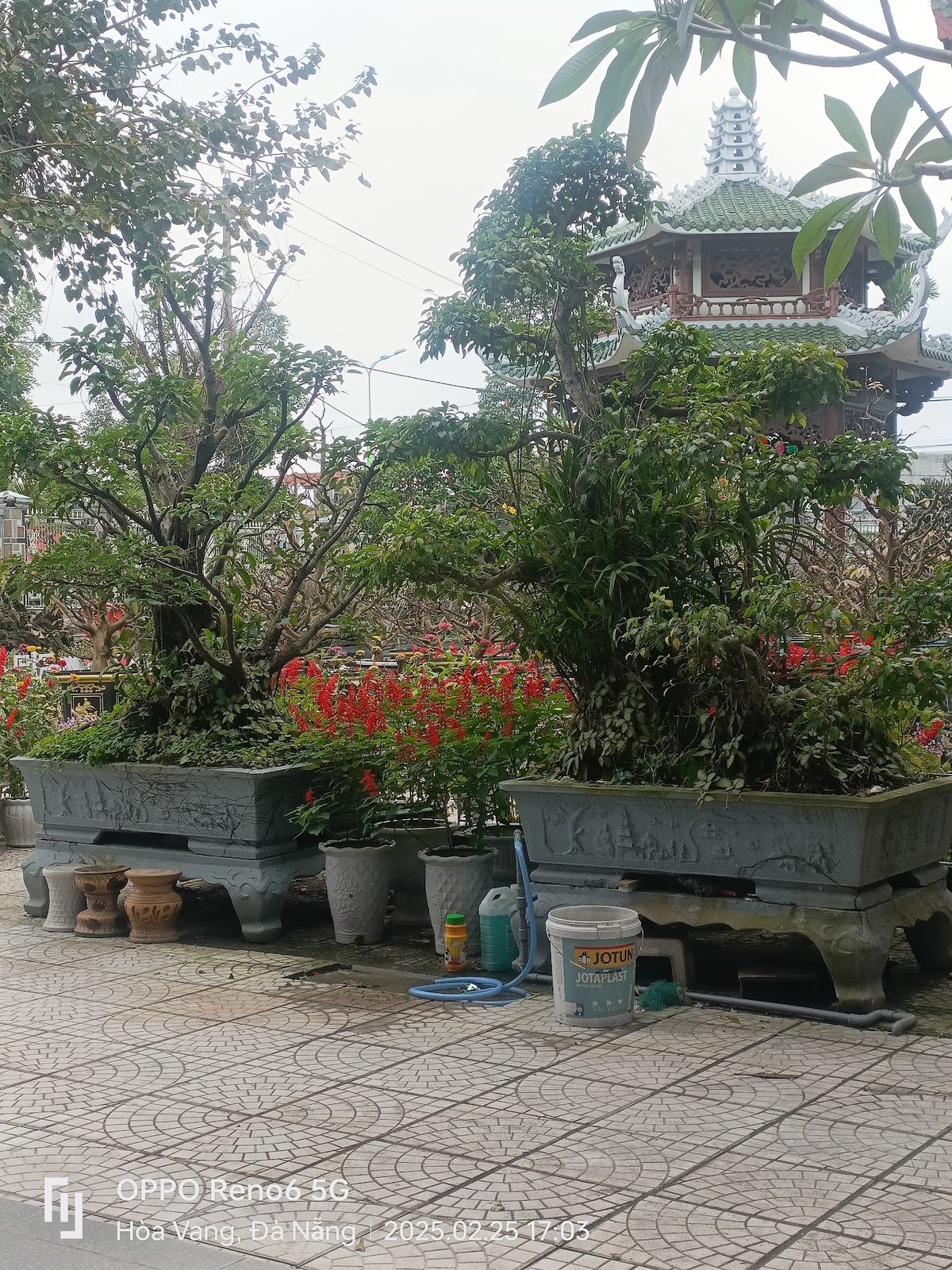 Hoa Phuoc Pagoda photo 4