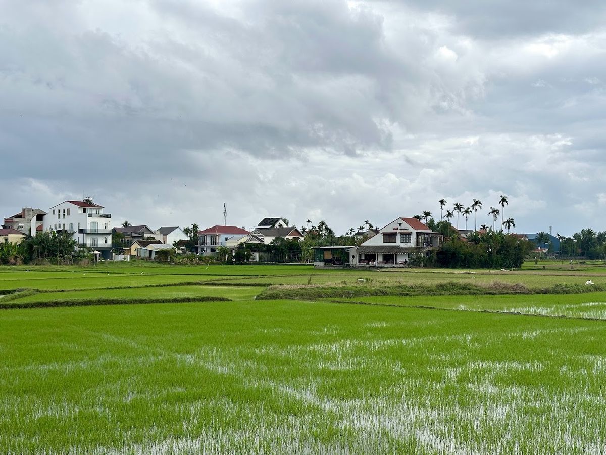 Hoi An Rice Fields-Cycling&Sunset, Da Nang