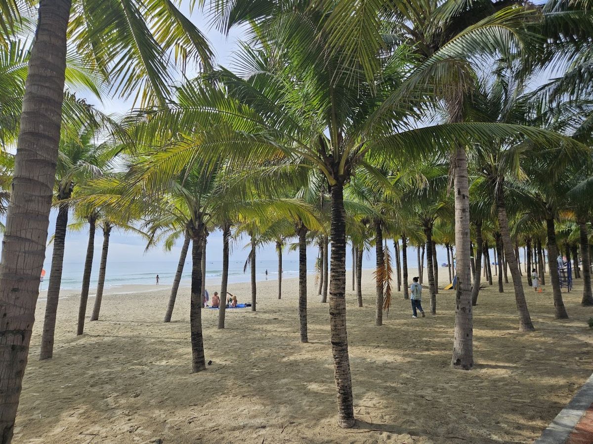 My Khe Beach photo 3