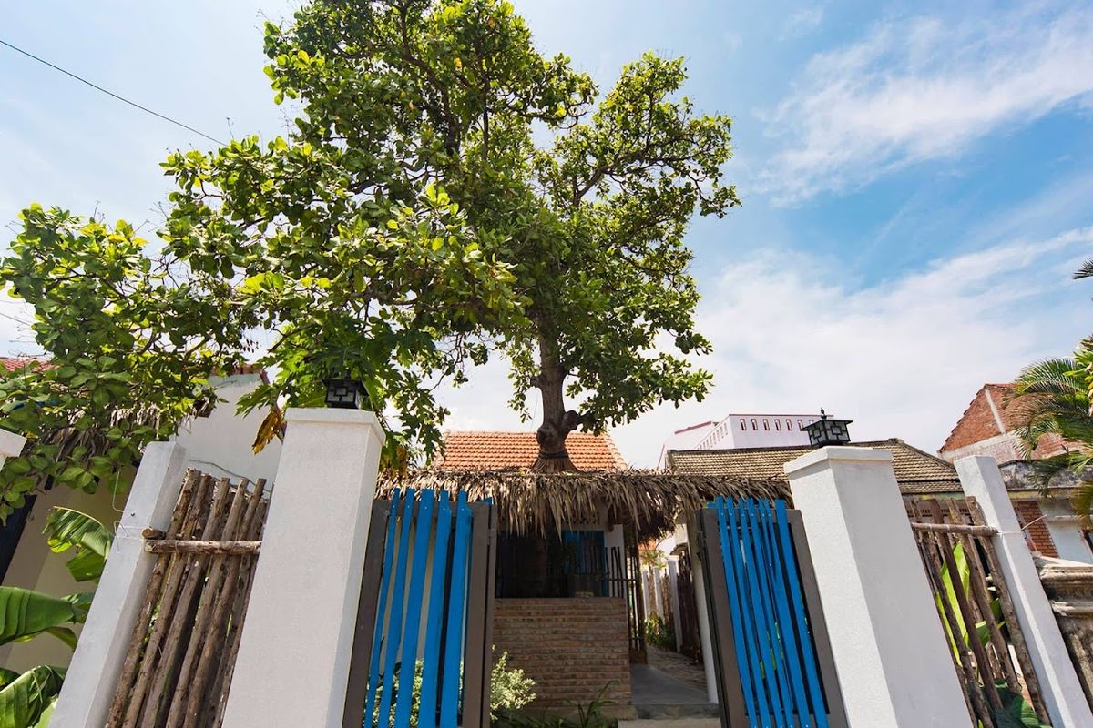 An Bang Beach Cashew tree Bungalow Homestay exterior in An Bang Beach