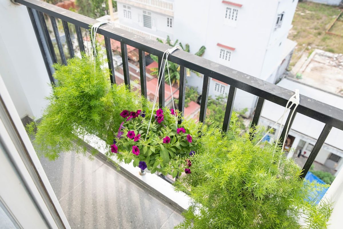 Suri Apartment & Hotel exterior in Non Nuoc