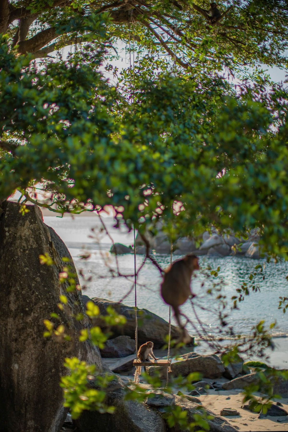 The Coral Homestay & Pub facilities in An Bang Beach